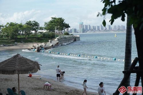 天津至厦门赶海攻略速览