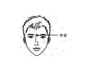 近期运势面相解析，低迷男面相特征