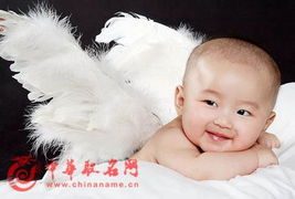喵咪取名攻略，为男宝宝起名有妙招