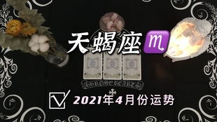 今日火象运势速查