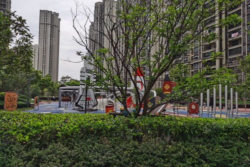 房产经纪日常作业怎么写