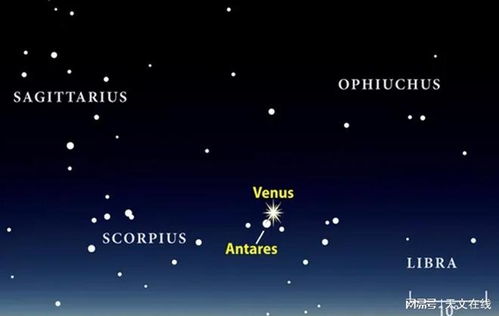 双子座金星星座查询速览