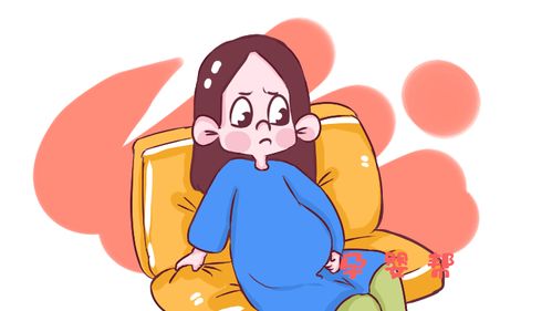 最佳怀孕时间，狮子座宝宝几月怀？