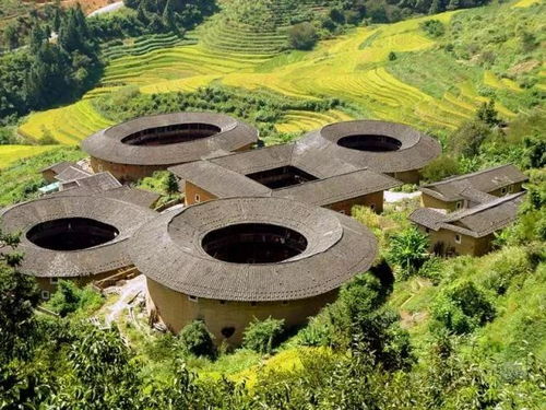 大澄岛攻略,厦门隐世秘境游 大澄岛攻略,厦门隐世秘境游